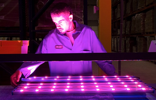 Traditional and LED Lighting Logistics and Shipping - Omni Logistics