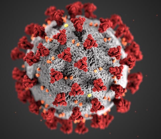 Virus 3d rendering